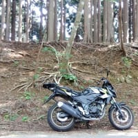 暑さから逃げる。