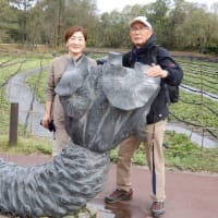 索引  白馬・信州長期滞在の旅　  2019.10.14～10.20　