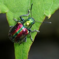 6月二回目の教室　虹色に輝く