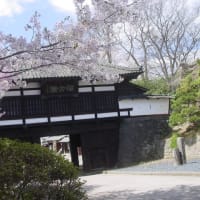 「小諸城址公園桜祭り」～写真と短歌で綴る世界文化紀行