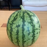 二つ目、できました🍉