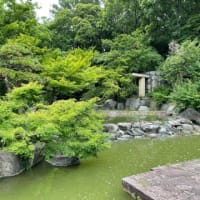 宮水ウオーク、初夏の花博記念公園