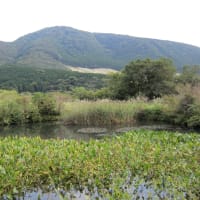 他の機種知らないから何とも言えないけど
