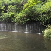 道の駅あがつま峡から始まる今日の旅3