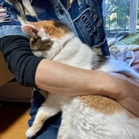アンクルンとコーラスと、ちょっと副作用