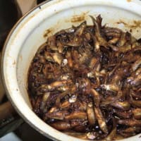 わかさぎ　佃煮　３１０匹