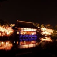 京都旅行記その１７～夜の平安神宮編