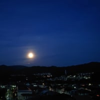 満月 １日前