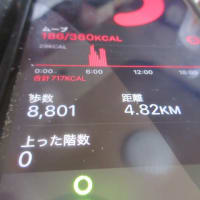 歩けや歩けということでww