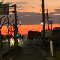 朝んぽ