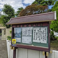 7月掲示板