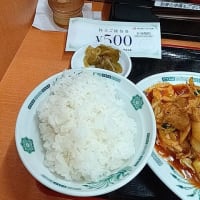 【株主優待】日高屋：バクダン炒め定食(2024年9月)