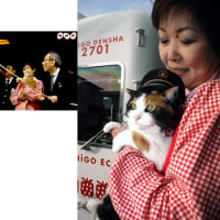 猫の強制労働 赤字路線が猫を駅長に (NHK 読売新聞)