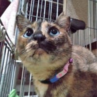 5月25日（日）肌寒いくらい湿度低くて嬉しい