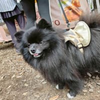 第142回八王子手仕事アートマーケット　お礼