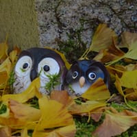 １１月３日　亀岡　～　丹波篠山　もみじ三山めぐり（､高蔵寺、文保寺、大国寺）