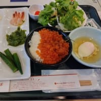 胆振（３０）和食・洋食バイキング