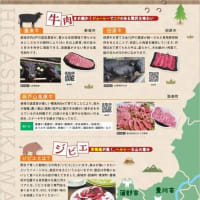 広報　ひがしみかわ　21号