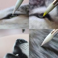 新作「寄り添い」オオカミ