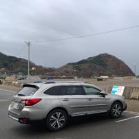 琴平荘に行ってきた