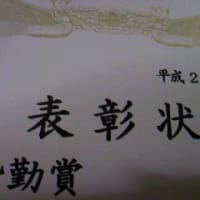 皆勤賞だ～！！(≧∇≦)