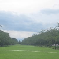 夏至も過ぎ梅雨空になり蒸し暑い