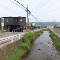 朝の散歩（2025/7/4）・・・姶良市加治木町春日公園方面