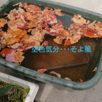 準備