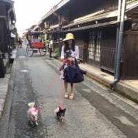 飛騨高山へ　最終章