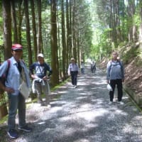和7年度　NTT-OB伊東地区旅行同好会春のハイキング