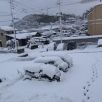 2021年