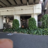 凄い生命力