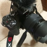☆★3代目旅カメラ購入・・・Panasonic Lumix G8