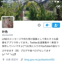 レシピのTwitter開始しました