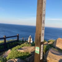 利尻島、礼文島の旅　2025/6/23〜25その1