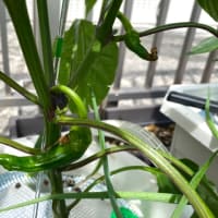 仕事道具はやっぱり大事