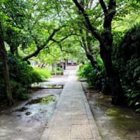 雨上がり編