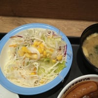 【株主優待】松屋：ポーランド風ミエロニィハンバーグ定食(2024)