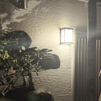 黒塗り