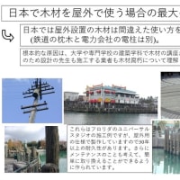 ２８０.木材の特性と耐久性