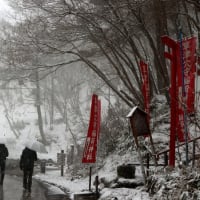 雪の草津温泉へ ( To Kusatsu hot spring in the snow )
