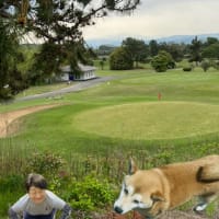 blogですがお引越しです。