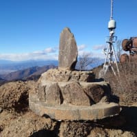 新春初登山