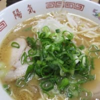 ザ・広島ラーメン！「陽気」横川店に行ってきました　広島ラーメン・・・しょうゆトンコツが特徴です