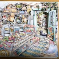 シャドーボックス 完成品 キムジャコブス ドライフラワー