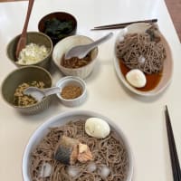 日曜日の昼ご飯　ぶっかけそば