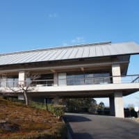 聚光院伊東別院訪問 - 杯が乾くまで