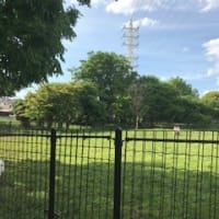 杉並どうぶつ相談員の記事ご紹介🐕