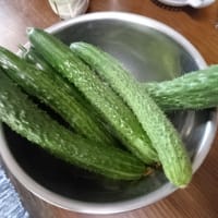 この暑さの中ですが