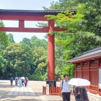 ６月５日 人間ドック、６日 氷川神社参拝